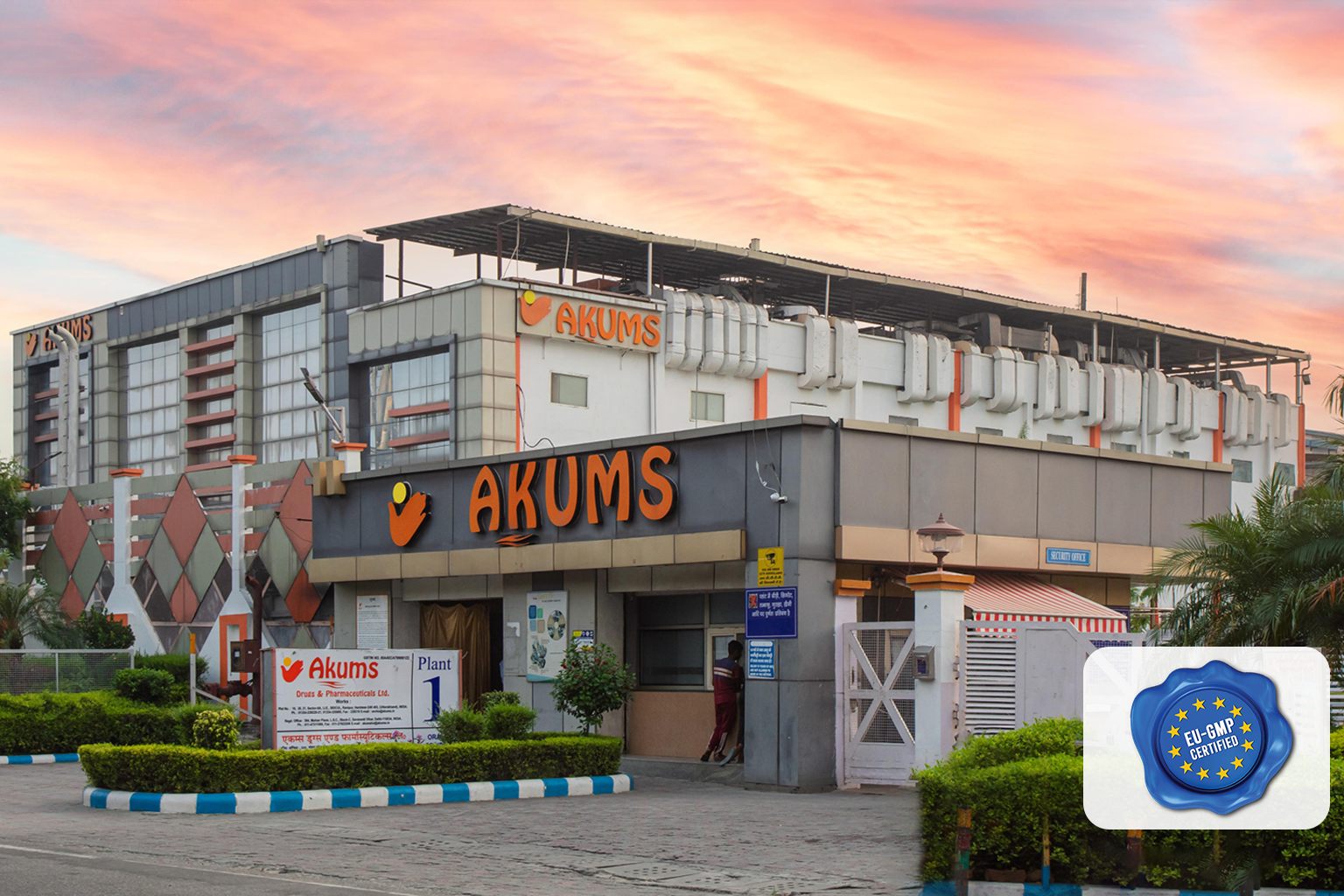 Akums Plant-1